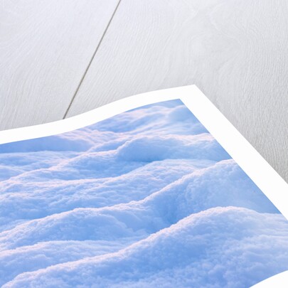 Snow by Assaf Frank